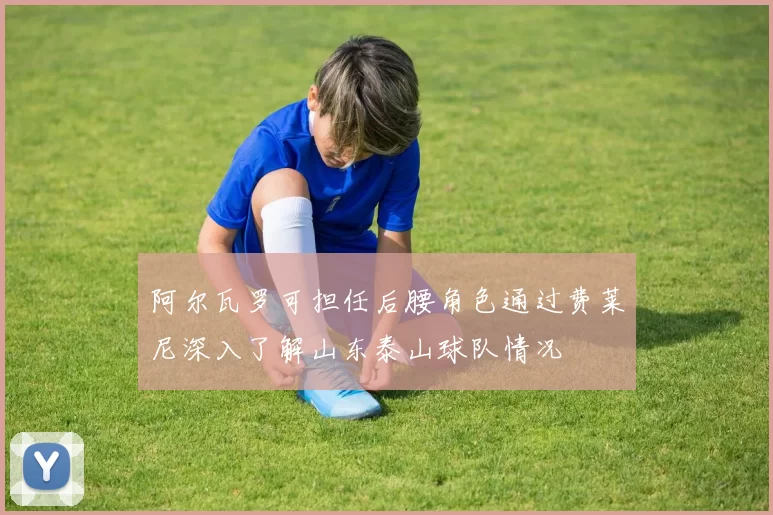 阿尔瓦罗可担任后腰角色通过费莱尼深入了解山东泰山球队情况